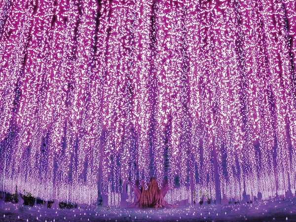 🔥催行決定12/1🔥【新宿発】日帰りバスツアー🚌『6,000円台~ぶっとび格安✨』日本3大イルミネーション「あしかがフラワーパーク」光の花の庭鑑賞🌹✨&蛸屋 工場直売おかしパーク「栃木銘菓 みかもの月」詰め放題😋&SNS映え確実📸「岩下の新生姜ミュージアム」&日本のど真ん中!「道の駅 どまんなかたぬま」でショッピング👜1